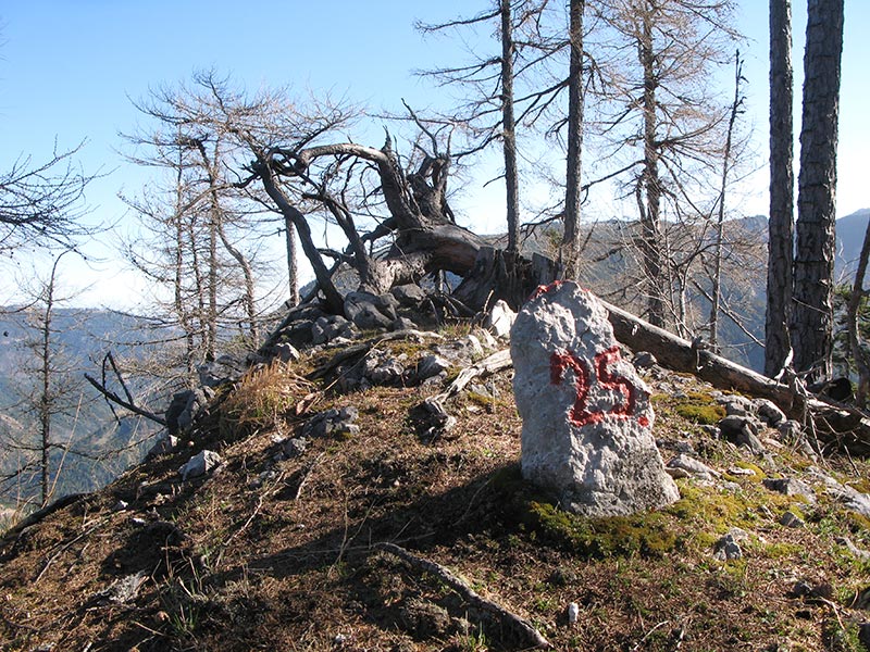 spielmannkogel